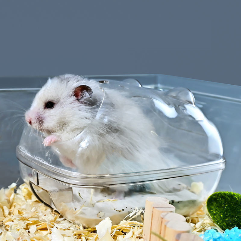 Hovedo Hamster Baie Transparent Hamster Mouse Toaletă Cutie Cușcă Baie Nisip Casă Jucărie Accesorii pentru animale mici