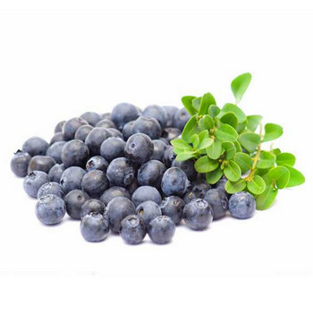 20PCS High Simulation Fruit Plastic Fake Blueberry Photo Props Fruit Home Artificial Food Blueberry Fruit Shop Model Decor