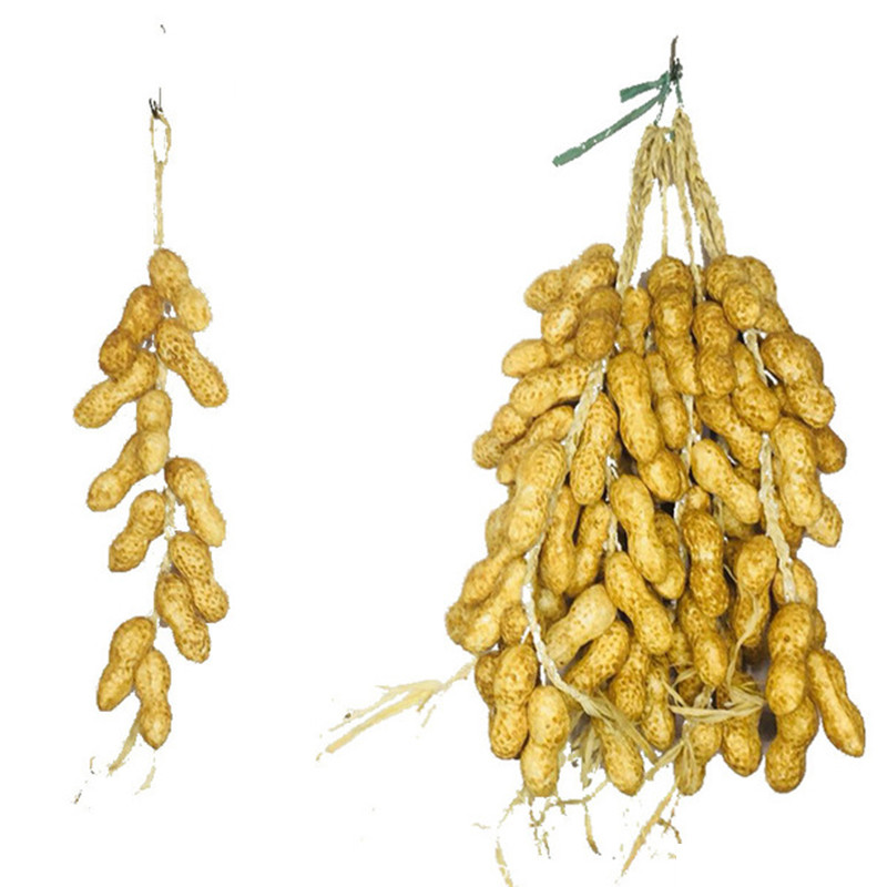 Mākslīgā simulācija Pārtika Dārzeņi Mājas dekors Viltus čili pipari Kukurūza Ķiploki Augļi Fotogrāfijas Rekvizīti Piekarināms pie sienas Lieldienu dekors