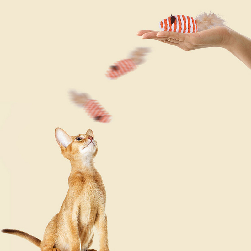 Jucării pentru animale de companie pentru pisici Accesorii pentru animale de companie Jucărie Coarda de hârtie Pene Sunet amuzant Culoare Mouse Jucărie interactivă cu sunet realist pentru animale de companie