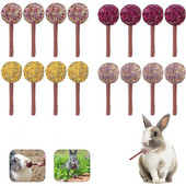 1 τεμ. Bunny Chew Toys Rabbit ινδικά χοιρίδια Παιχνίδια για δόντια Lollipop Molar Toy Natural Flavor for Hamster Chinchillas Gerbils Rat