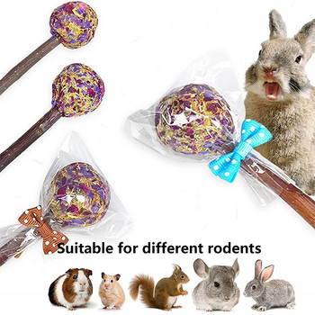 1 τεμ. Bunny Chew Toys Rabbit ινδικά χοιρίδια Παιχνίδια για δόντια Lollipop Molar Toy Natural Flavor for Hamster Chinchillas Gerbils Rat