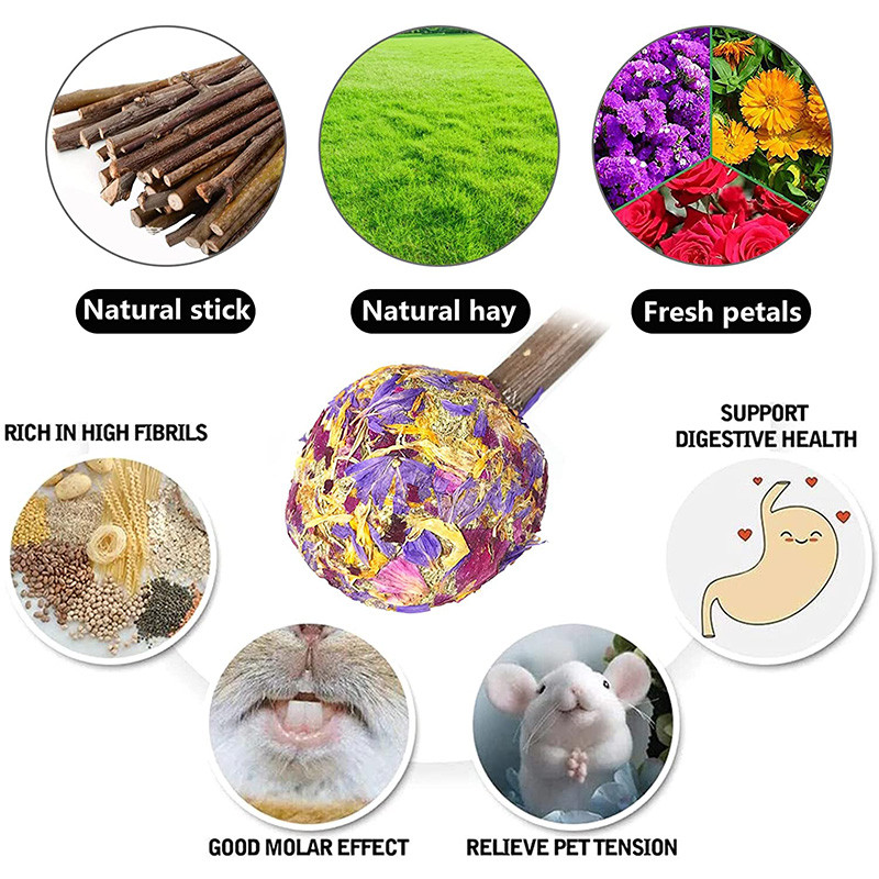 1 buc Jucării de mestecat iepuraș Iepure Porcușor de Guineea Delicii Jucării pentru dinți Acadele Jucărie molară Aromă naturală pentru hamster Chinchilla Gerbili Sobolan