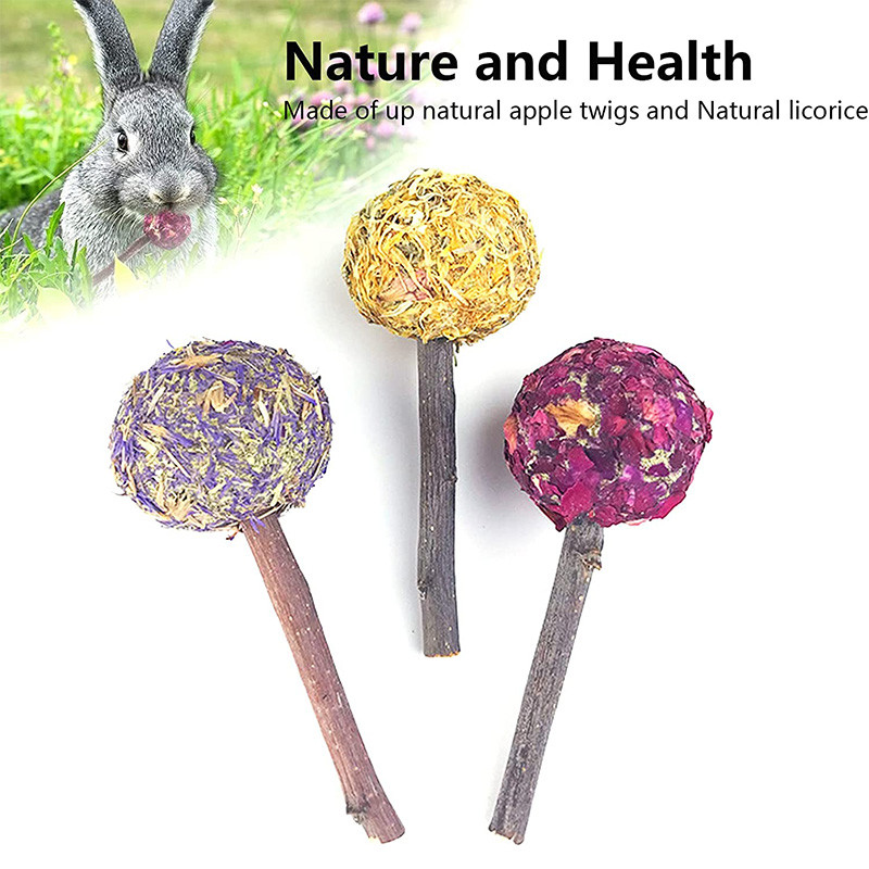 1 buc Jucării de mestecat iepuraș Iepure Porcușor de Guineea Delicii Jucării pentru dinți Acadele Jucărie molară Aromă naturală pentru hamster Chinchilla Gerbili Sobolan