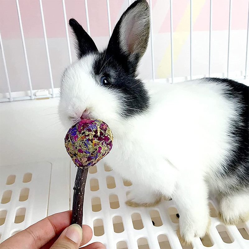 1 buc Jucării de mestecat iepuraș Iepure Porcușor de Guineea Delicii Jucării pentru dinți Acadele Jucărie molară Aromă naturală pentru hamster Chinchilla Gerbili Sobolan