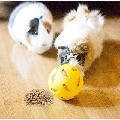 Rabbit Treat Ball Pet Slow Feeder Διαδραστικό παιχνίδι λαγουδάκι Σνακ Παιχνίδι μπάλα Ανθεκτικό στο δάγκωμα Παιχνίδια σίτισης Ferret Kitty Γάτα ινδικό χοιρίδιο