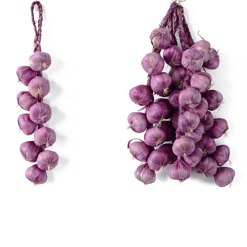 1 vnt. dirbtinės putos, augalinis augalas, purpurinis česnakas, kukurūzai, žemės riešutai pipirai, žuvies grandinėlė, namų dekoravimo fotografijos reikmenys