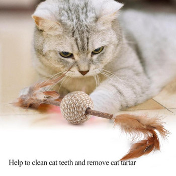 Cats Kitten Chew Toy Catnip Matatabi Molar Toy Cat Chew Sticks Dental Health Почистване на котешки зъби и премахване на котешки зъбен камък Играчки за домашни любимци