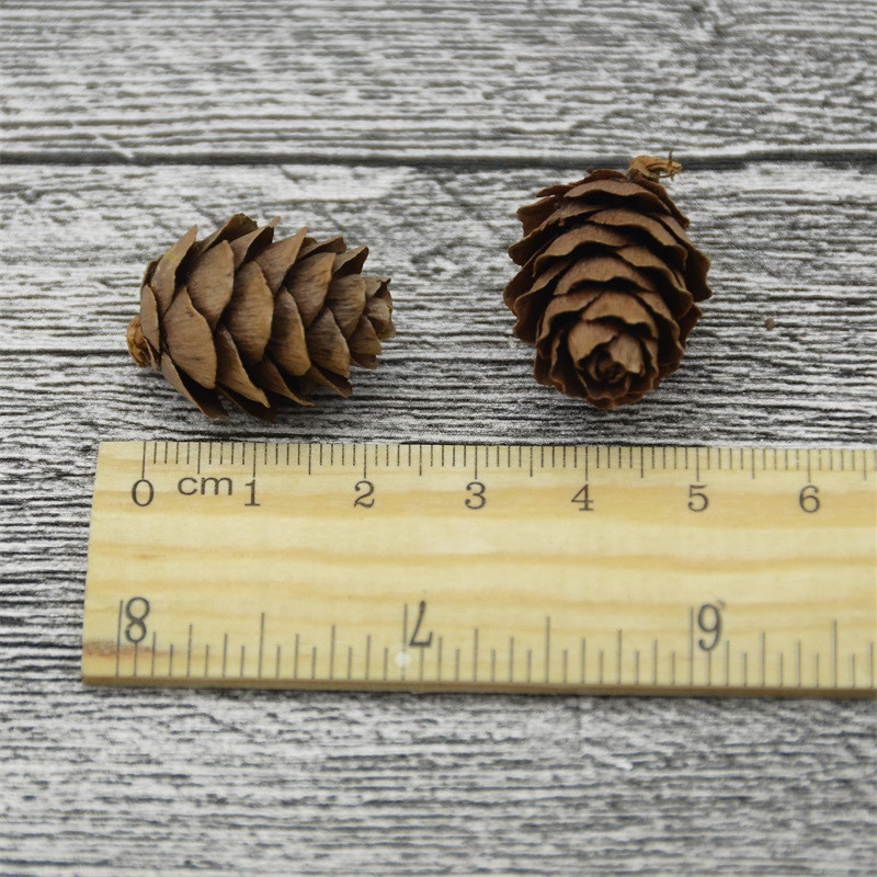 Ieftin 50 buc simulare de fructe artificiale nuci de pin nunta decorare petrecere de Craciun, gradina de familie, bricolaj, coroane, accesorii