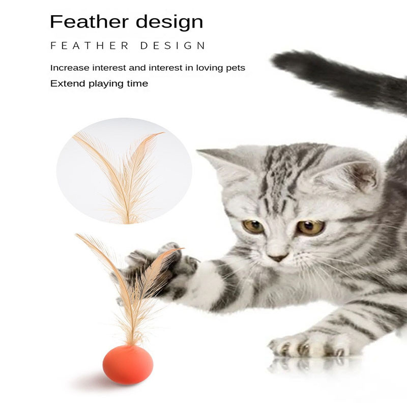 Jucării pentru pisici Jucării interactive cu pene Jucărie amuzantă Jucării interactive pentru pisici Jucării interactive cu pene Jucării cu baghetă cu pene Minge rotativă