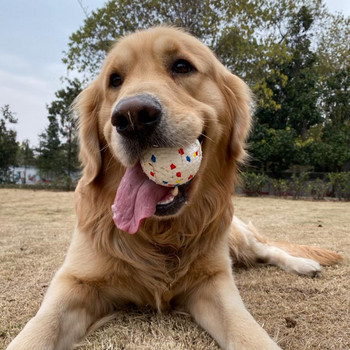 Топка за играчки за домашни кучета Лека гумена топка за дъвчене Висока еластична устойчивост на ухапване Интерактивни хвърлящи летящи играчки за кучета Аксесоари за домашни любимци