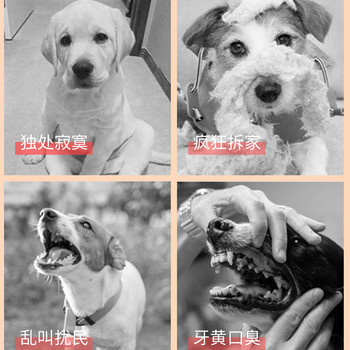 Παιχνίδι παζλ για σκύλους Unbreakable Chihuahua Chew Product Interactive Pet Teether for Puppy Training & Behavior Ads Dog Accessories