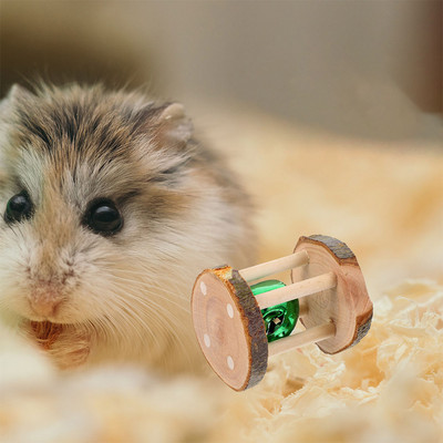 2 τμχ Hamster Chew Toy Puppy Toys Bunny Rabbits Teeth Molar Puppies Αθλητικά χάμστερ