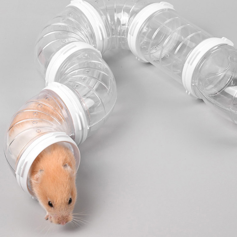 Set de jucării pentru hamster pentru animale de companie, transparent, porci, tunel pentru arici, instrumente de joc, culoare solidă, pentru accesorii pentru animale mici