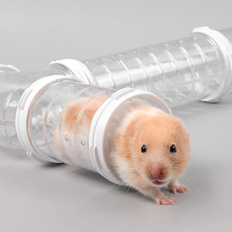 Set de jucării pentru hamster pentru animale de companie, transparent, porci, tunel pentru arici, instrumente de joc, culoare solidă, pentru accesorii pentru animale mici
