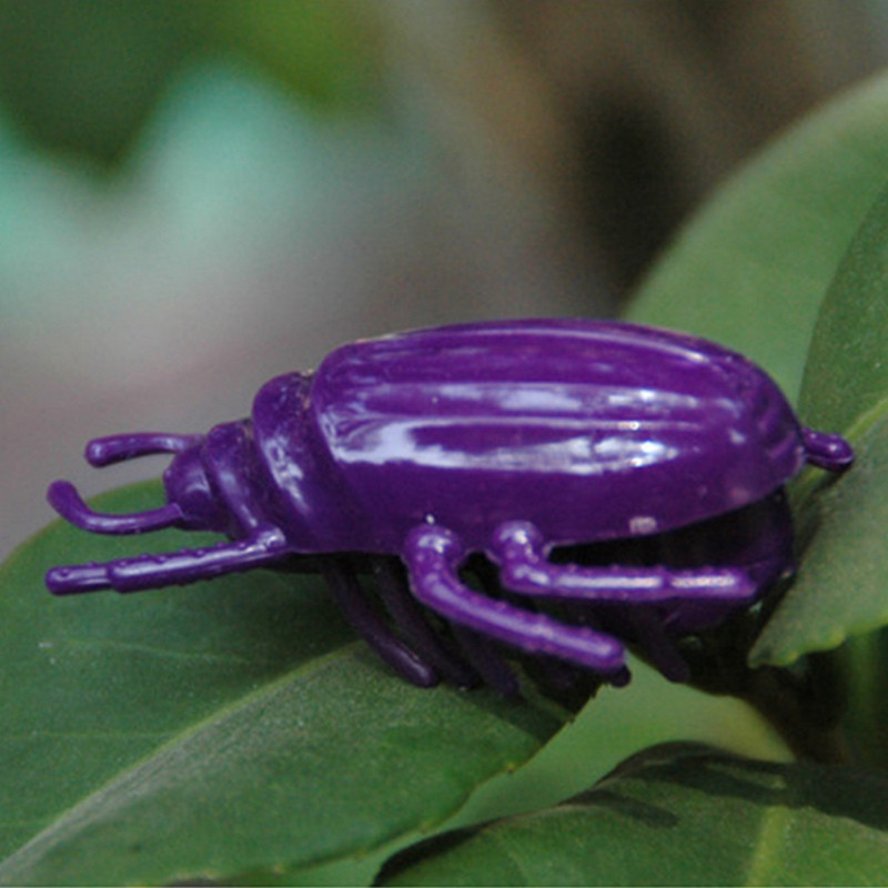 Elektrinis vabalas Ladybug modeliavimas gyvūnų vabzdžių žaislas kačių žaislas Baterija maitinami mini žaislai