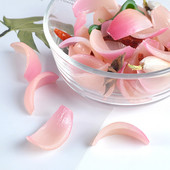 Προσομοίωση Κρεμμύδι Φέτες Λαχανικά Κρεμμύδια Μοντέλα Τροφίμων Παιχνίδια Διακοσμητικά Τροφίμων Σκοποβολή Νηπιαγωγείο Γνωσιακή διδασκαλία AIDS