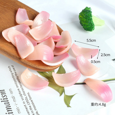 Προσομοίωση Κρεμμύδι Φέτες Λαχανικά Κρεμμύδια Μοντέλα Τροφίμων Παιχνίδια Διακοσμητικά Τροφίμων Σκοποβολή Νηπιαγωγείο Γνωσιακή διδασκαλία AIDS