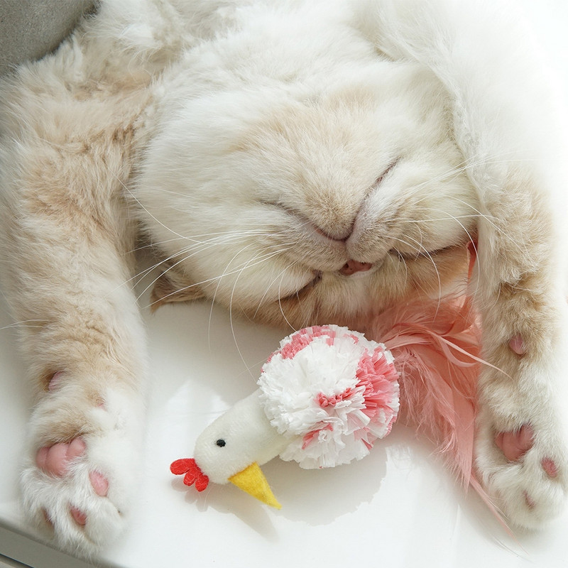 Legendog Cute Chick Kitten Παίξτε Toy Cat Διαδραστικό παιχνίδι με ψεύτικο φτερό που παίζει παιχνίδια για κατοικίδια προμήθειες Προϊόντα για γάτες