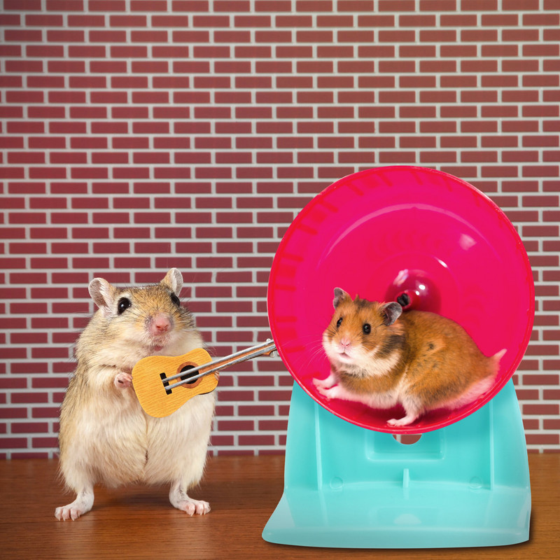 Hörcsög kerekes autós játékok konzol Gyakorló játék Futókerekek Tartó Tartó Kisállat autók Állat Hangtalan autóipari állvány csincsilla