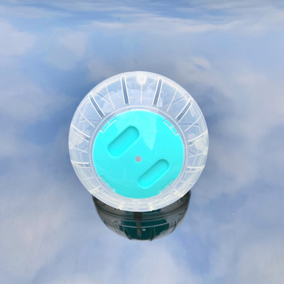 Πλαστική εξωτερική αθλητική μπάλα Grounder Αρουραίος Μικρά κατοικίδια Ποντίκια Τζόκινγκ Μπάλα Παιχνίδι Χάμστερ Gerbil Μπάλα άσκησης Παιχνίδι Παιχνίδι για Μικρά Κατοικίδια Προμήθειες