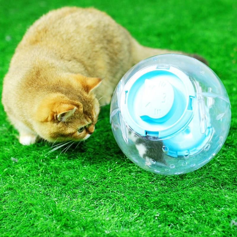 Μπάλες νάνου χάμστερ Clear 5,5 ιντσών Μπάλες άσκησης Τρωκτικά ποντίκια κατοικίδιων ζώων που τρέχουν για ινδικό χοιρίδιο σκίουρος αρουραίος Εργαλεία αξεσουάρ