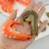 Προσομοίωση μοντέλου γαρίδας διακόσμηση φαγητού γαρίδας διακόσμηση παιδικό παιχνίδι σπιτιών παιχνίδια Προμήθειες πρώιμης εκπαίδευσης φωτογραφικά στηρίγματα