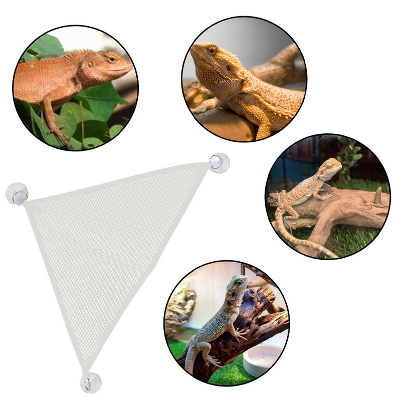 Pet Lizard Lounger αιώρα Geckos Πατάκια κρεβατιού Pet Reptile Mat Hamock Play Toys Swing Oxford Fabric For Reptile Snake Lizard Climb