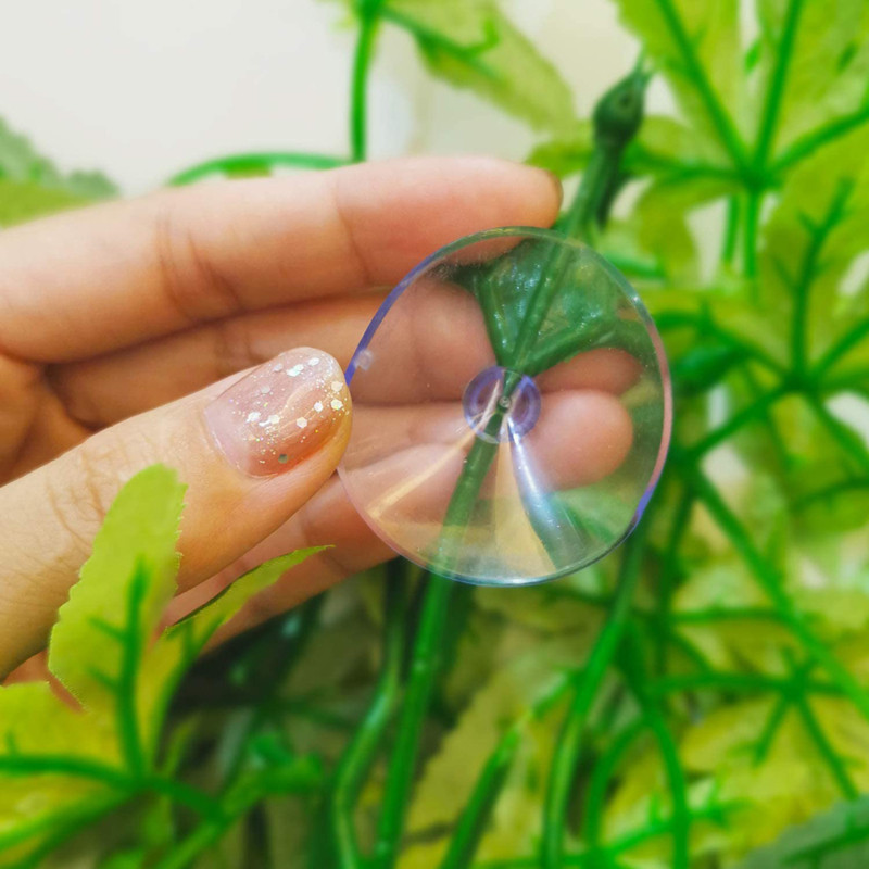 Ερπετό Terrarium Φυτική Διακόσμηση Ερπετόφυτα με βεντούζα για αμφίβια σαύρα Φίδι αναρρίχησης κατοικίδιων ζώων Δεξαμενή Διακόσμηση βιότοπων