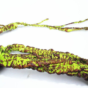 Ερπετά Εξωραϊσμός Αμπέλου Ψεύτικα κλαδιά τροπικού δάσους αφρός Rattan Terrarium Διακόσμηση βιότοπων για Lizard Chameleon