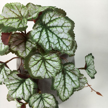 Τεχνητό φυτό Terrarium για ερπετά αμφίβια για διακοσμήσεις βιότοπων κατοικίδιων δεξαμενών Τροπικά φύλλα Ζωντανά τροπικά φύλλα Πλαστικό φύλλο μπαστούνι
