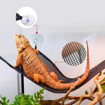 Αξεσουάρ κρεβατιού Bearded Dragon Hammock Lizard Lounger Ladder Κρεμαστό κρεβάτι