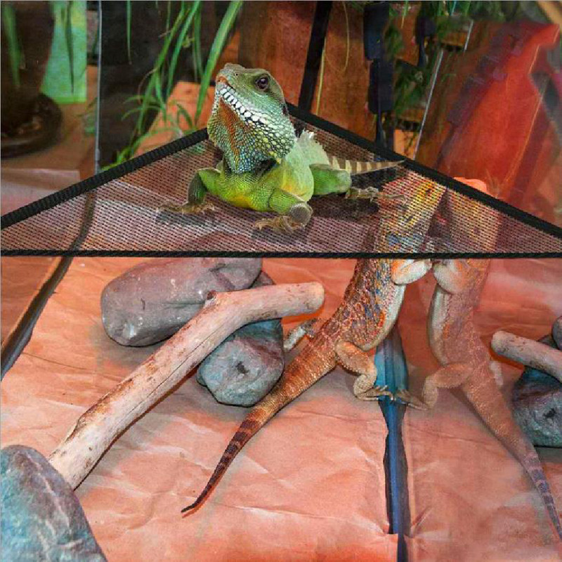 Szakállas sárkány függőágy Lizard nyugágy létra akasztós ágytartozékok