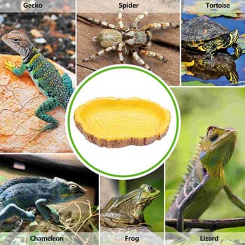 Reptile Feeder Reptile Accessories Terrarium Dish Tortoise Climbing Platform Snake Water Dish Turtle Tank Accessories