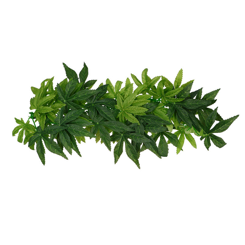 Tapadókorong Tartályos élőhely Hegymászó szőlő Hüllő növények Szimulációs növények Hüllő terrárium Élőhely dekoráció