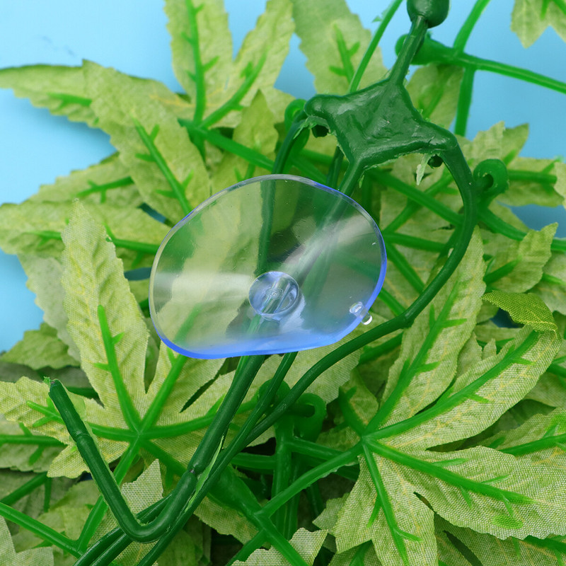 Tapadókorong Tartályos élőhely Hegymászó szőlő Hüllő növények Szimulációs növények Hüllő terrárium Élőhely dekoráció