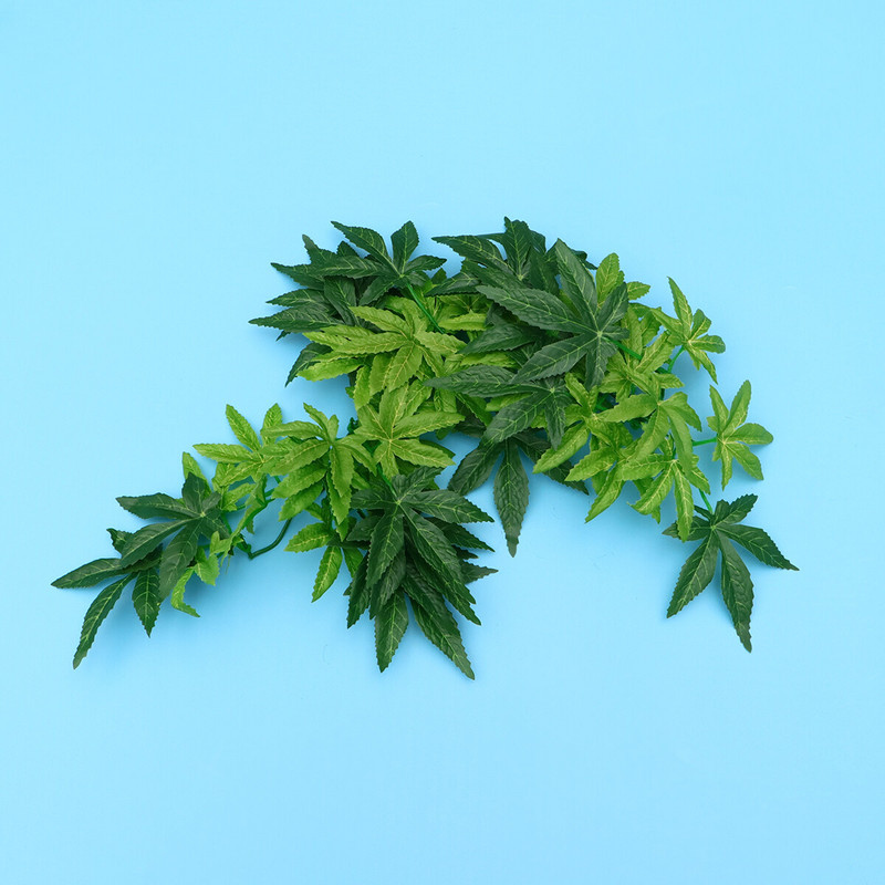 Tapadókorong Tartályos élőhely Hegymászó szőlő Hüllő növények Szimulációs növények Hüllő terrárium Élőhely dekoráció