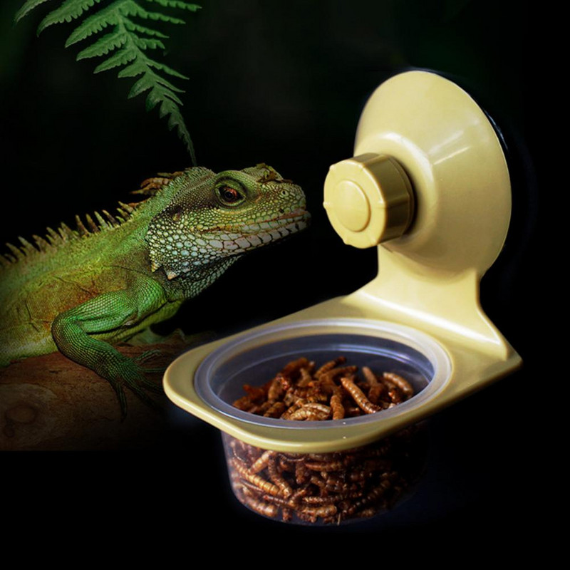 Lánctalpas kisállat-etető Minimalista istálló hangyák fészek kígyó gekkó eledel teknősbéka függő vízmedence pókok háziállatok számára kellékek