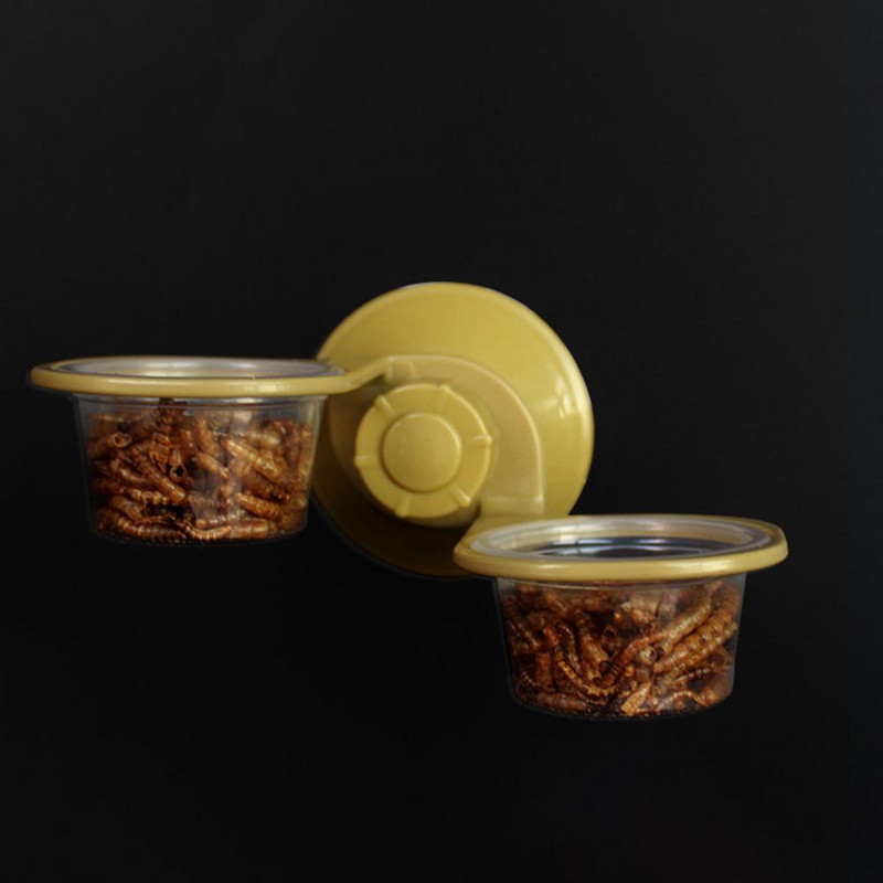 Lánctalpas kisállat-etető Minimalista istálló hangyák fészek kígyó gekkó eledel teknősbéka függő vízmedence pókok háziállatok számára kellékek