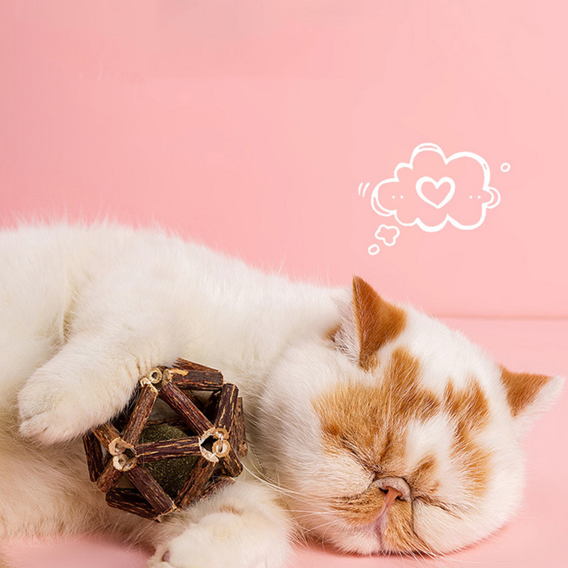 Legendog Silvervine macskajáték üreges fogak tisztító macskamenta macskák haranggolyós játékok Fogtisztító kisállatjáték macskajátékokhoz Kellékek