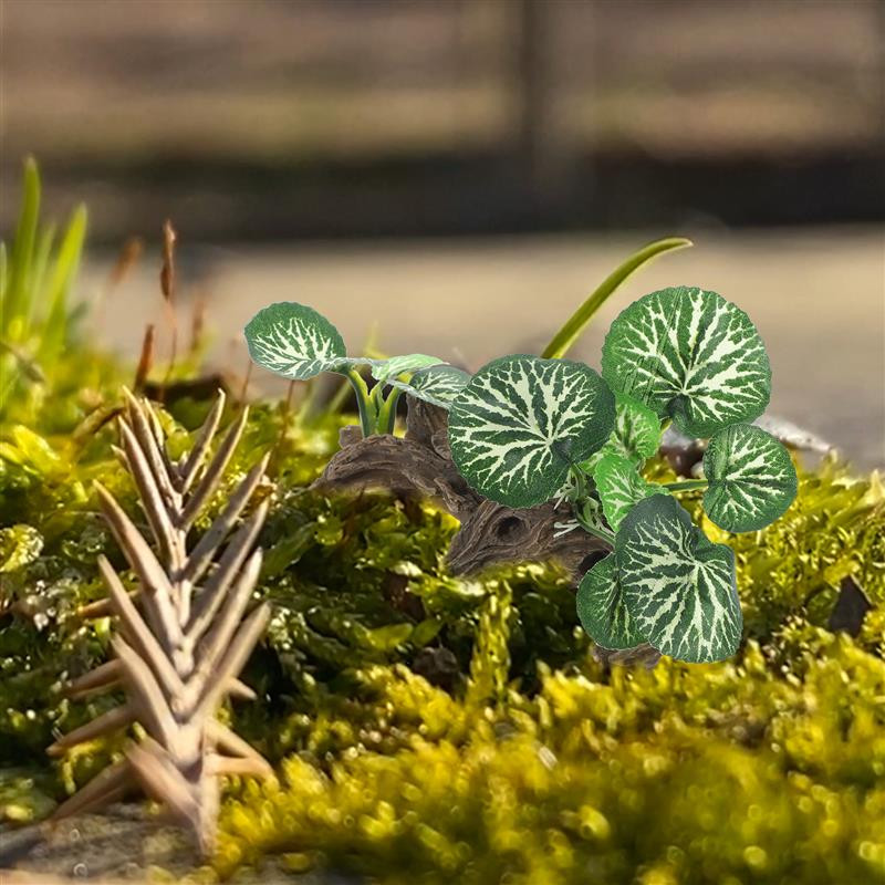 Akvárium Díszek Növények Akvárium Terrárium Szimulált tereprendezés Hamis táj dekoráció Szimuláció Gyanta hüllő ködös