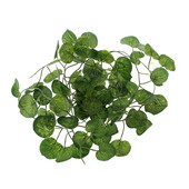 Ερπετά Γωνιακά Φυτά Φύλλα Terrarium Ψάρια για Δεξαμενή Διακοσμημένη διακόσμηση για γενειοφόρος Dragon Lizard
