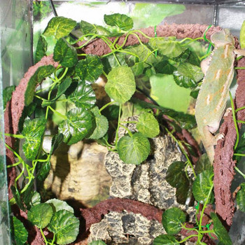 Ερπετά Γωνιακά Φυτά Φύλλα Terrarium Ψάρια για Δεξαμενή Διακοσμημένη διακόσμηση για γενειοφόρος Dragon Lizard