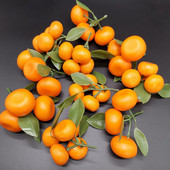 Προσομοίωση πορτοκάλια ζάχαρης με φύλλα διακοσμήσεις παραθύρων με φρούτα