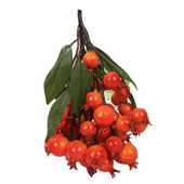 Τεχνητά φρούτα κλαδιά Longan ντομάτα ρόδι μύρτιλα κεράσι Μοντέλο φρούτων βιτρίνα Στολίδι φωτογραφία στηρίγματα Διακόσμηση σπιτιού