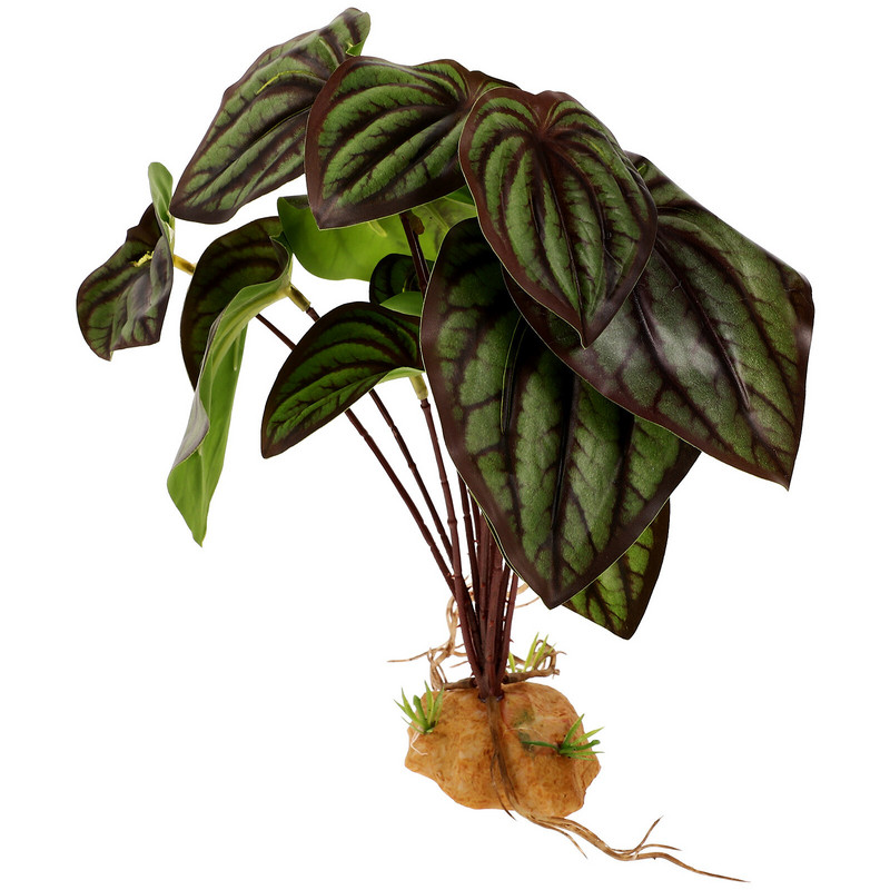 Hüllők kellékek Növények Dísz Belső Dekoráció Kétéltű Akvárium Hamis terráriumgyanta szimulált tereprendezés Begónia