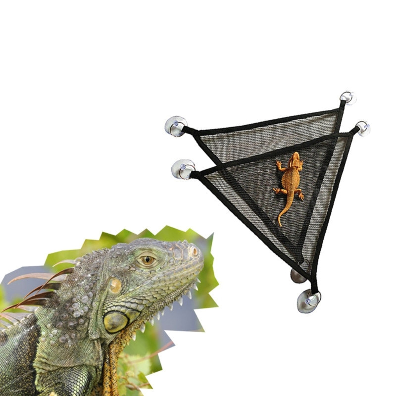 Rāpuļu šūpuļtīkls lieliem, maziem bārdainiem pūķiem, gekoniem, ķirzakām, čūskām, elpojošs — kāpšanas šūpuļtīkls kāpšanas gulta