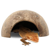 Ερπετοειδές Σπήλαιο Κρύψιμο Χελώνας Απόκρυψη Οικοτόπων Σπήλαιο Φυσικό κέλυφος καρύδας Ερπετό γαρίδα Σπίτι Ενυδρείο Διακόσμηση δεξαμενής ψαριών