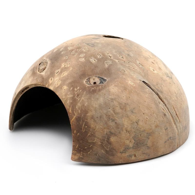 Hüllő barlang Rejtős teknős Bújás Élőhely barlang Természetes kókuszdióhéj Hüllő garnélaház Akvárium Akvárium Dísz