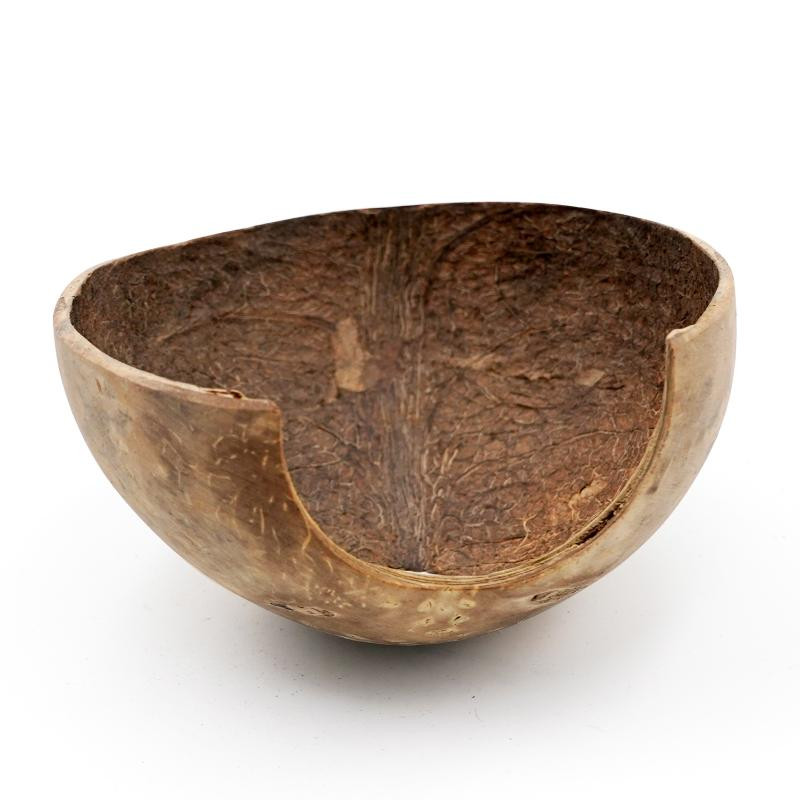 Hüllő barlang Rejtős teknős Bújás Élőhely barlang Természetes kókuszdióhéj Hüllő garnélaház Akvárium Akvárium Dísz